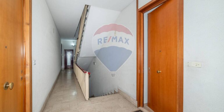 2025091271310-981293-6