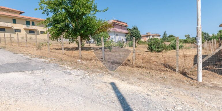 2025091291611-982541-4