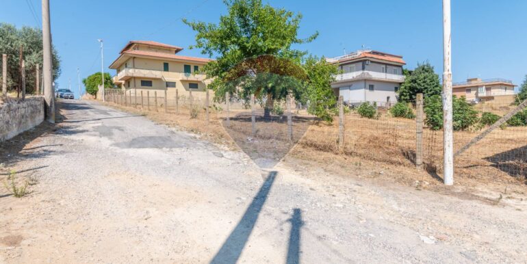 2025091291615-982541-5