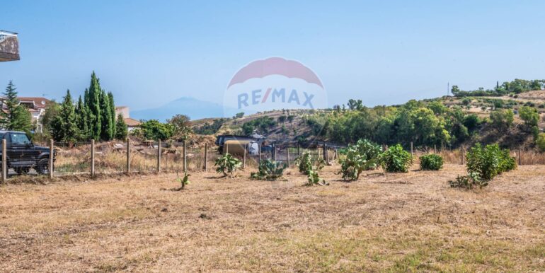 2025091291624-982541-7