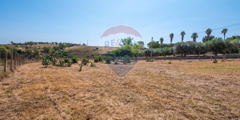 2025091291633-982541-9