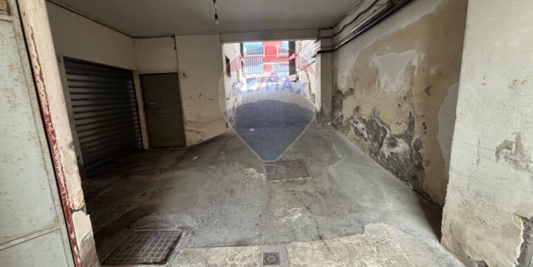 2025091395556-982770-9