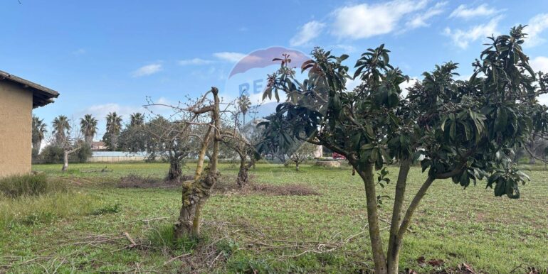 20250915192926-983370-1