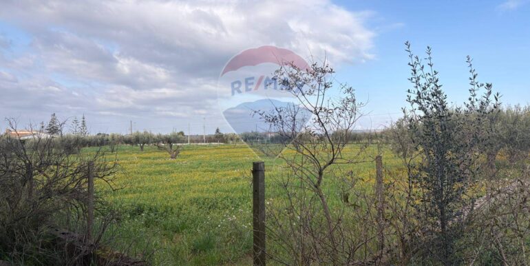 20250915192926-983370-2