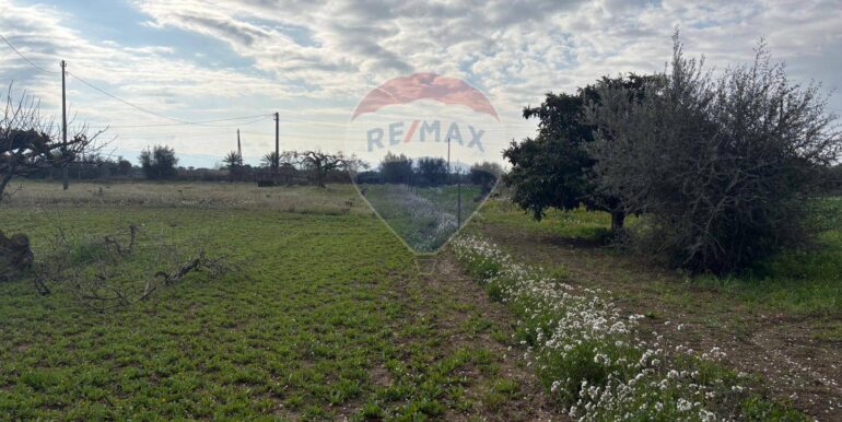 20250915192928-983370-11