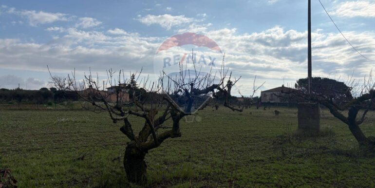 20250915192929-983370-12