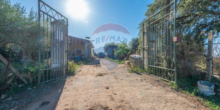 20250916114927-983446-1