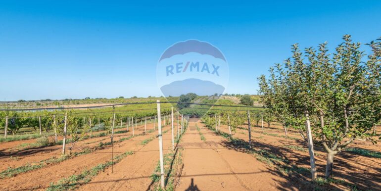 20250916114927-983446-3