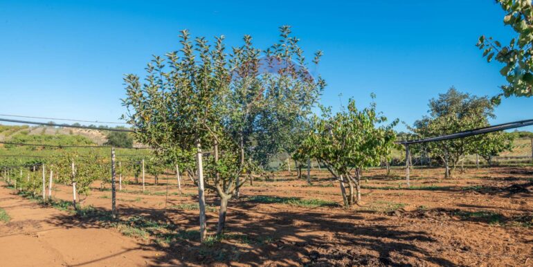 20250916114927-983446-4