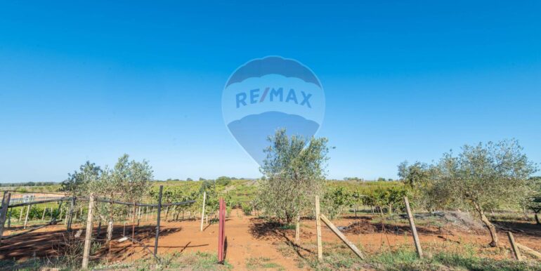 20250916114928-983446-5