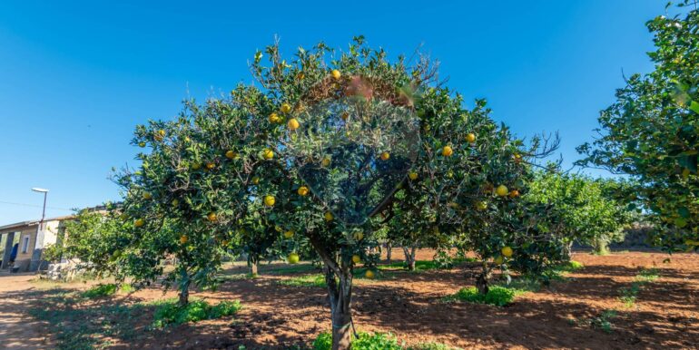 20250916114930-983446-12