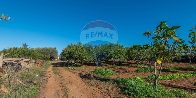 20250916114930-983446-13