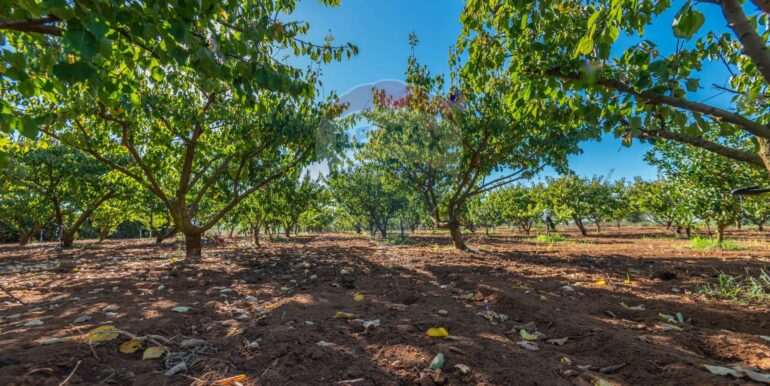 20250916114930-983446-14