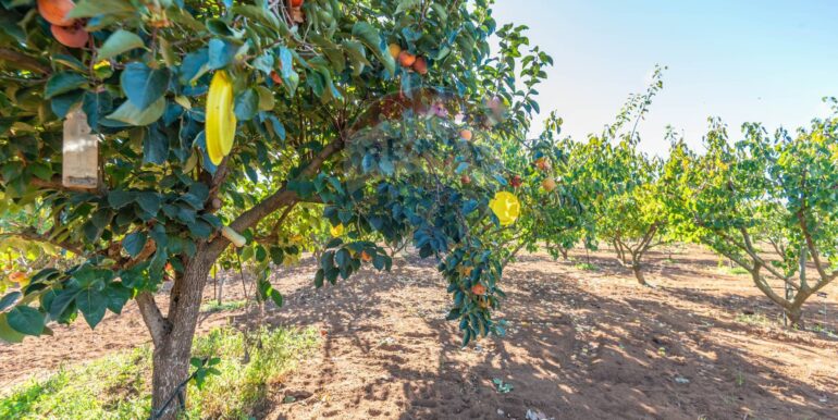 20250916114931-983446-15