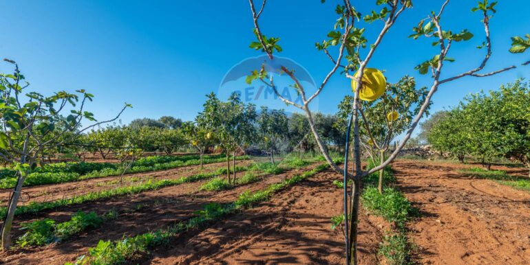 20250916114931-983446-16