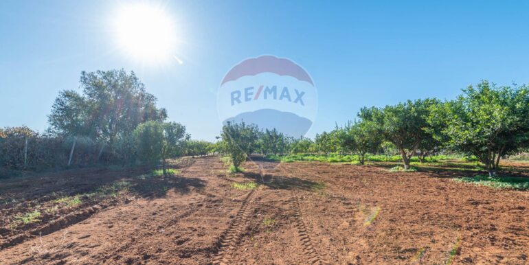 20250916114931-983446-17