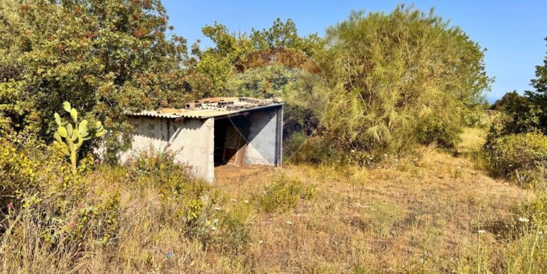 20250916150140-983485-0