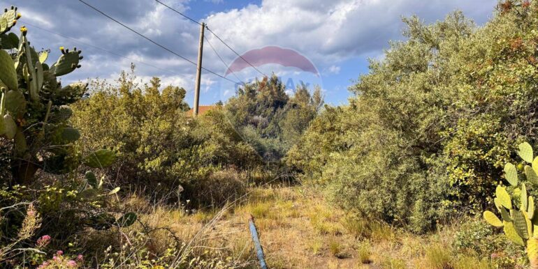 20250916150141-983485-2