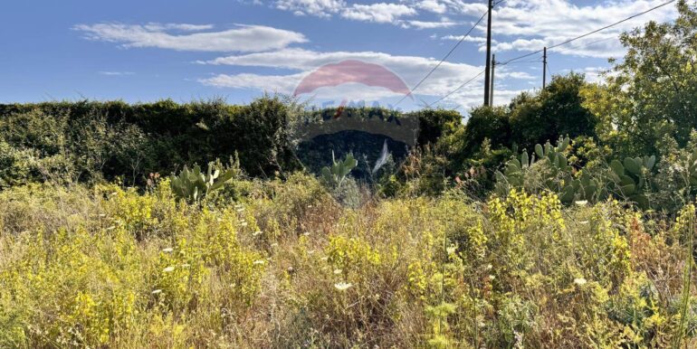 20250916150141-983485-3