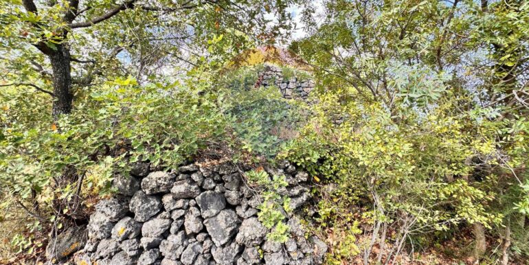 20250916150142-983485-5