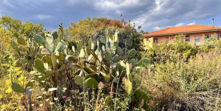 20250916150142-983485-6