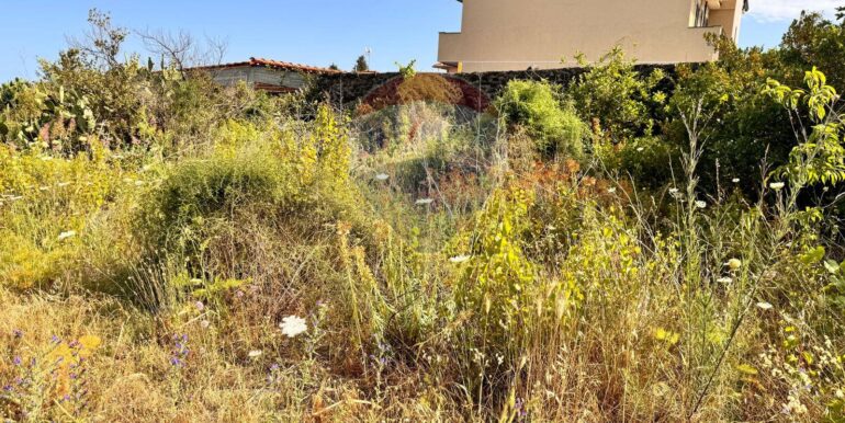 20250916150143-983485-8