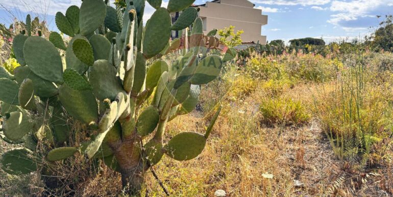 20250916150144-983485-12