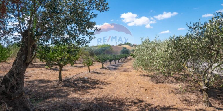 20250919172228-978045-5