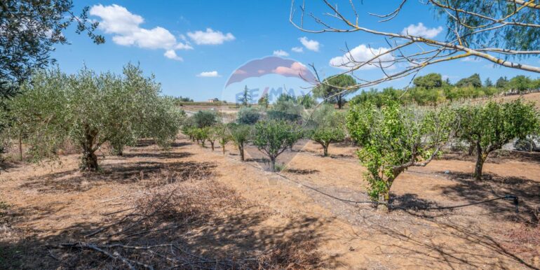 20250919172232-978045-6