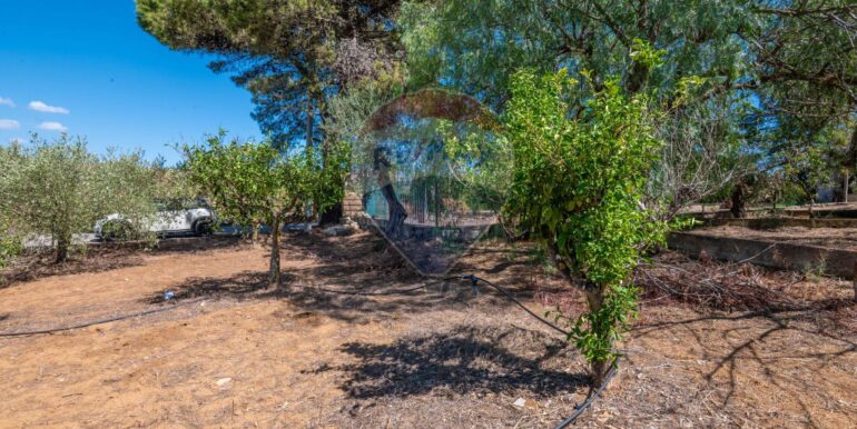 20250919172245-978045-9