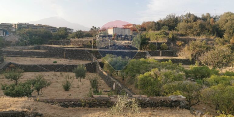 20250925144158-987666-6