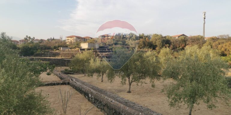 20250925144158-987666-7