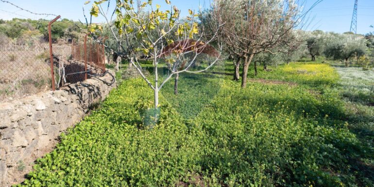 20250926111655-987853-1