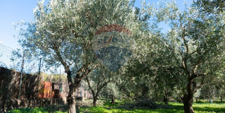 20250926111655-987853-3