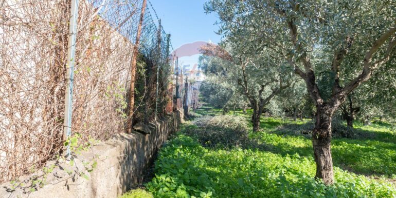 20250926111656-987853-4