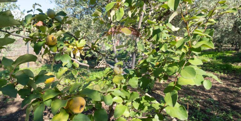 20250926111656-987853-5