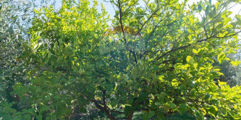 20250926111657-987853-6