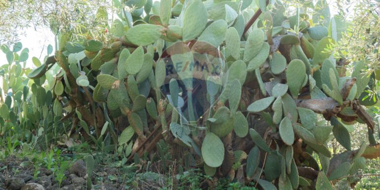 20250926111657-987853-7