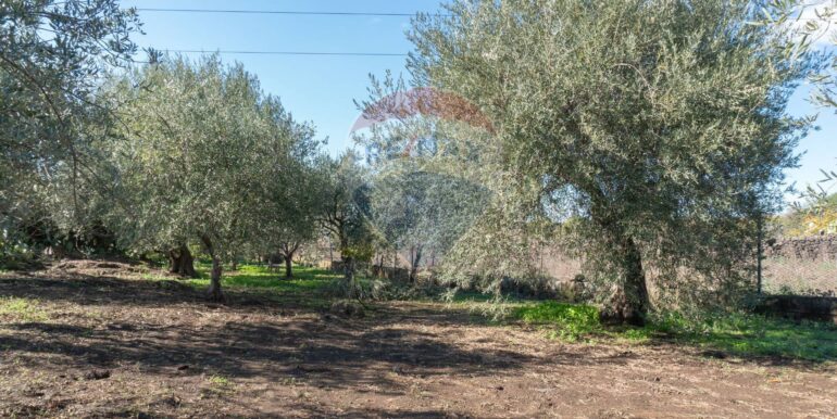 20250926111657-987853-8