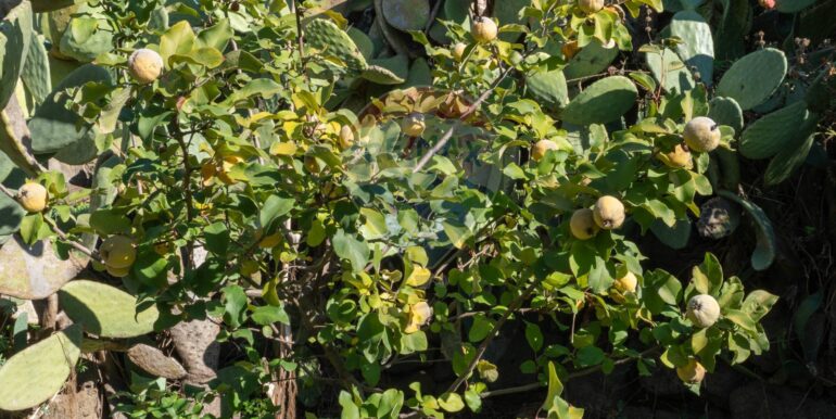 20250926111658-987853-10