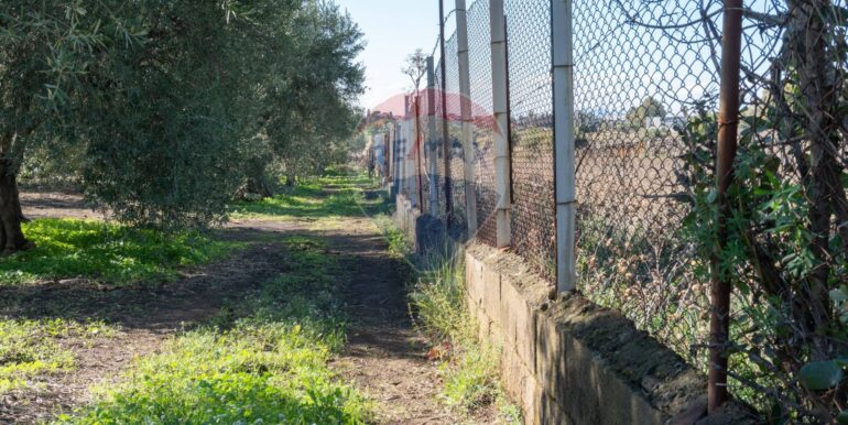 20250926111658-987853-11