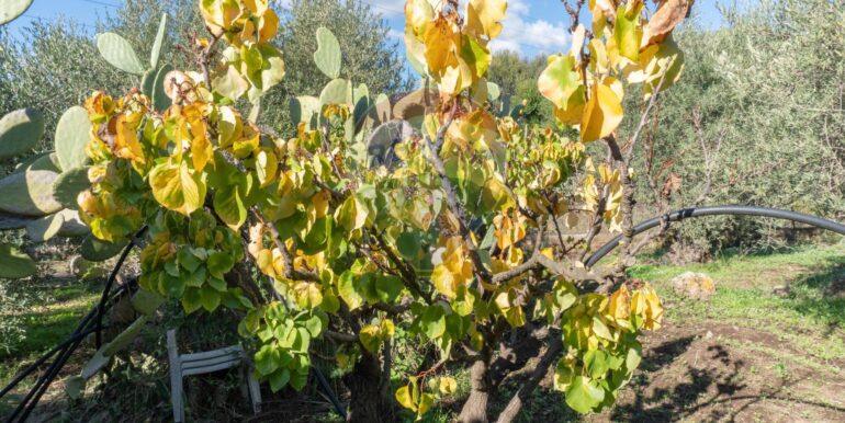 20250926111658-987853-9