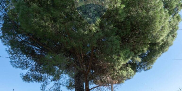 20250926111700-987853-15