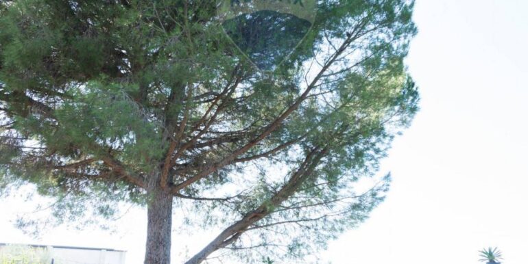 20250926111700-987853-18