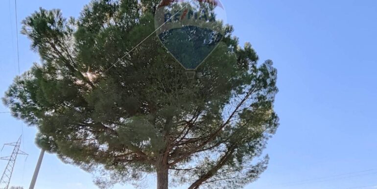 20250926111702-987853-24