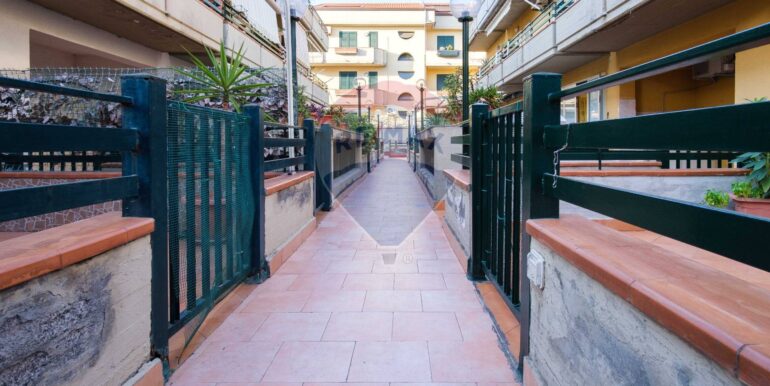 20250926182051-988747-3