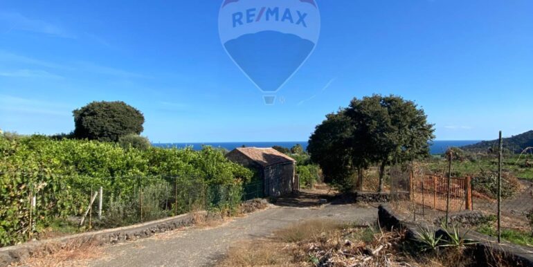 2025092693026-986658-5