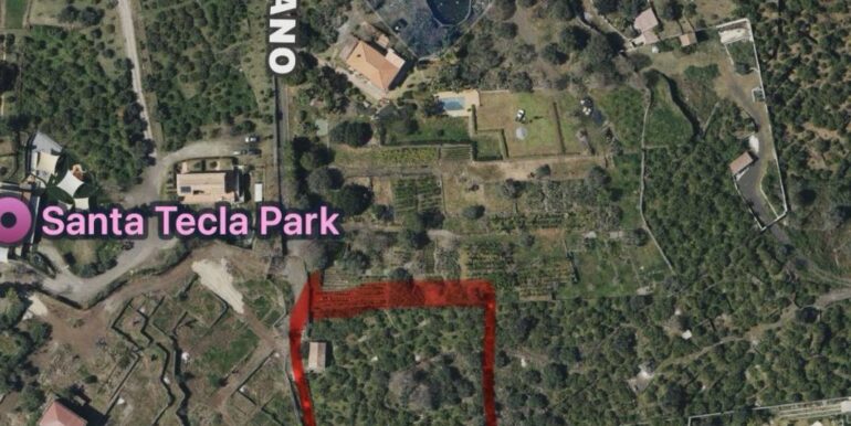 2025092693039-986658-8