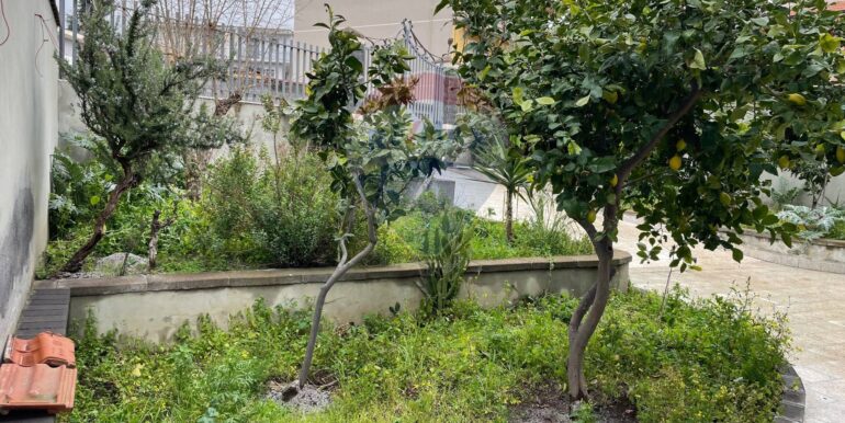 2021031974513-554238-15