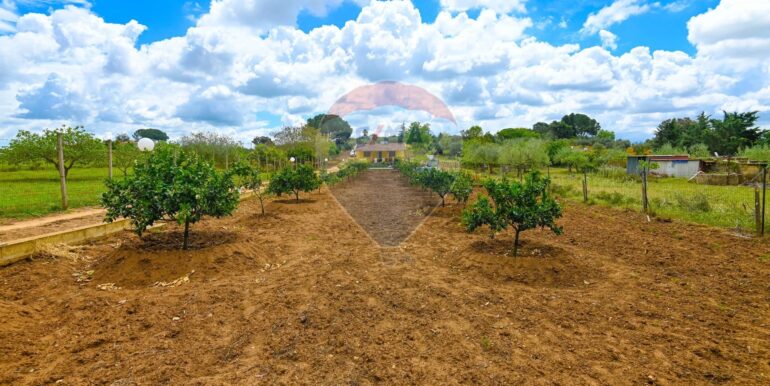 20230504192651-754368-5